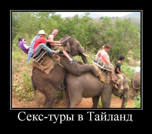 Так себе картинки 21.11.21