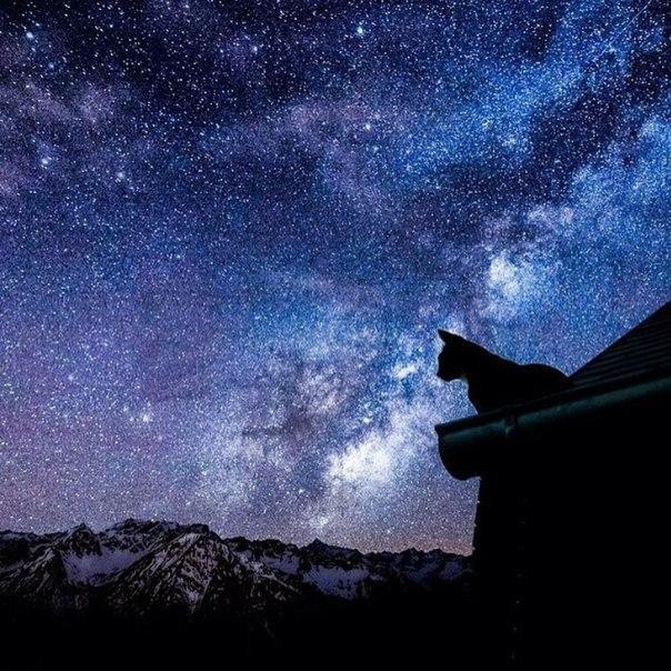 40 картинок разных 22.03.2022