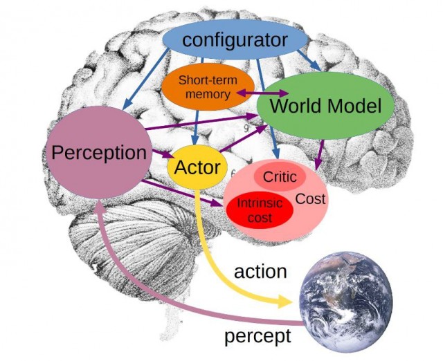 Пандемия съехавших крыш - разновидности болезни. Россия и мир. Часть 37