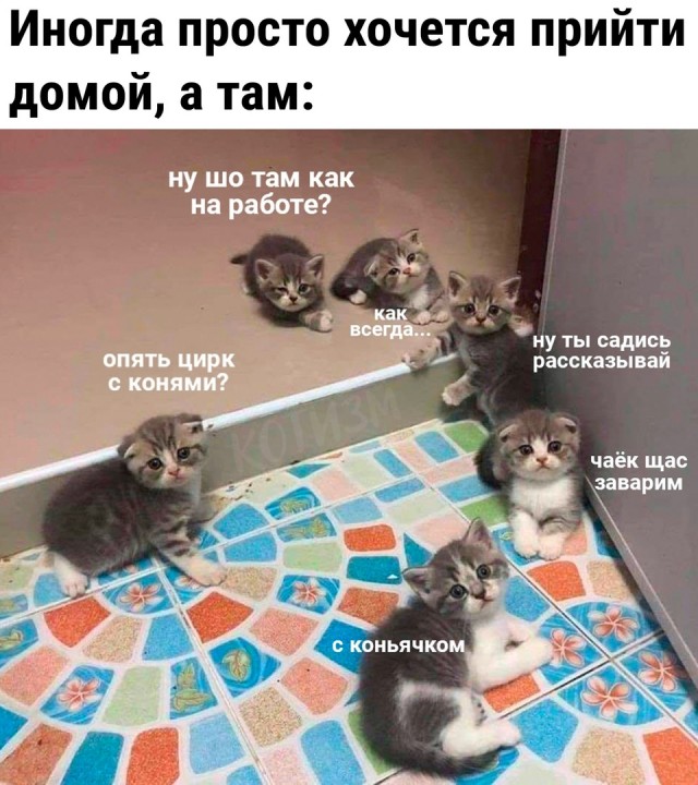 Так себе картинки 25.07.22