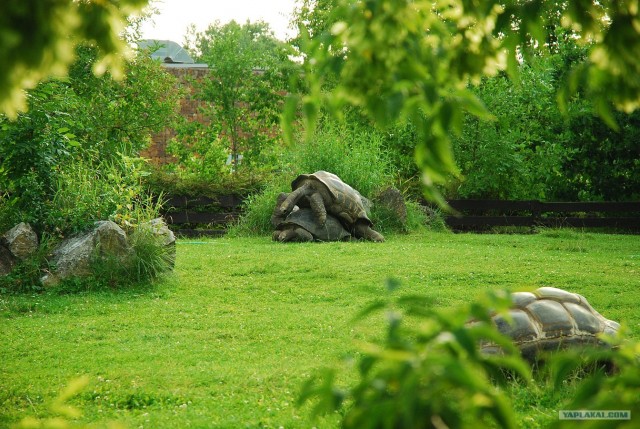 Пивная Прага