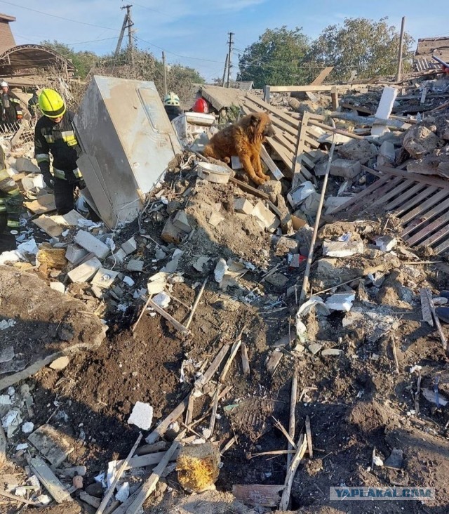 ⚡️ВСУ прорвались в районе Ставков и отрезают Дробышево
