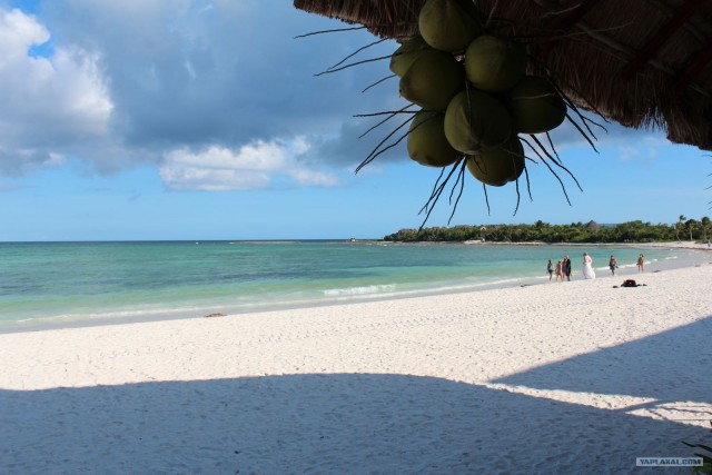Поездка в Мексику (за деньги)