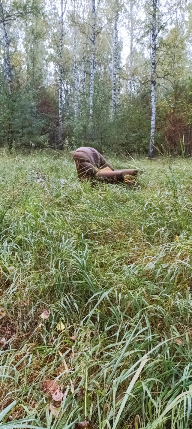 Лесной пейзаж