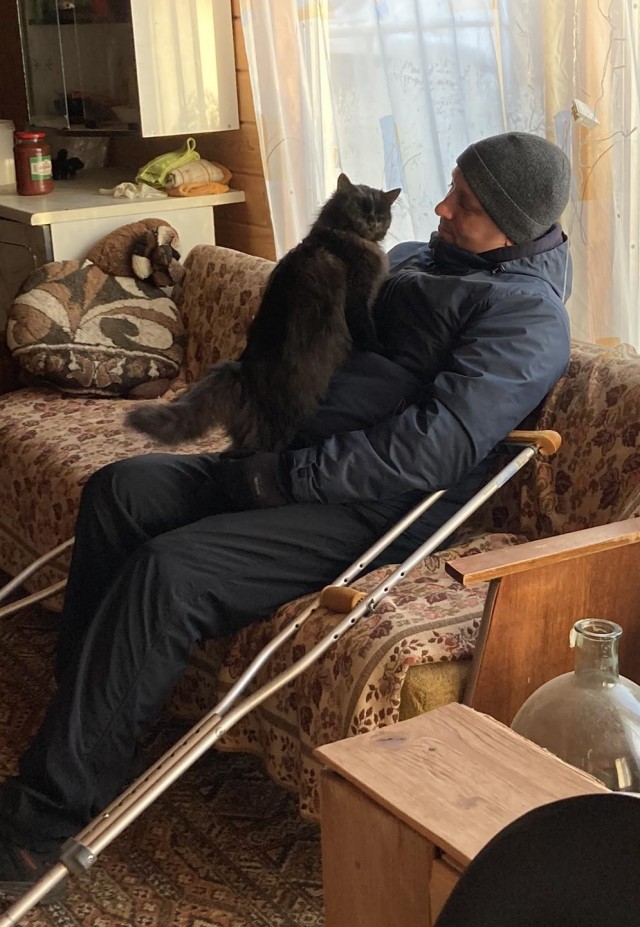 Уличный котей - 1, домашний котей +1