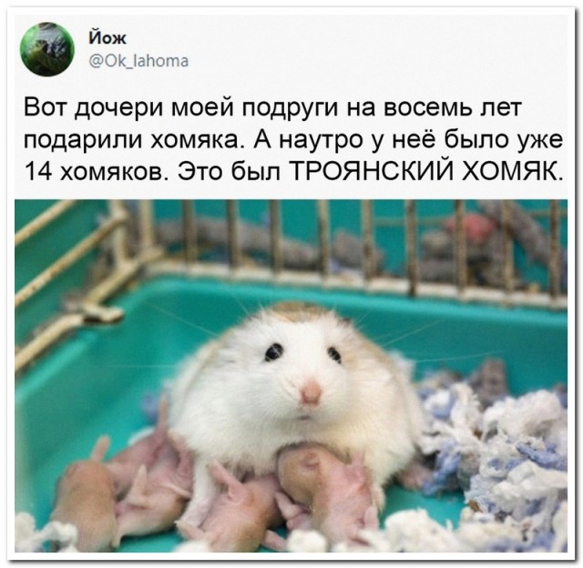 Забавные комментарии из социальных сетей 05.12.22