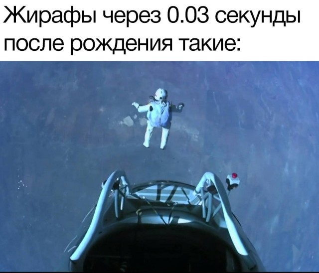 Картинки аморальные и всякие разные - 44
