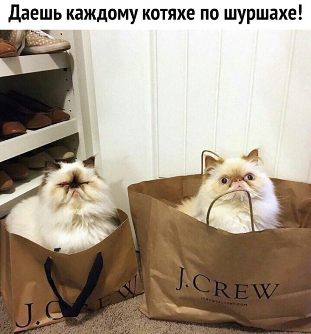 Картинки и мемы, выходные продолжаются