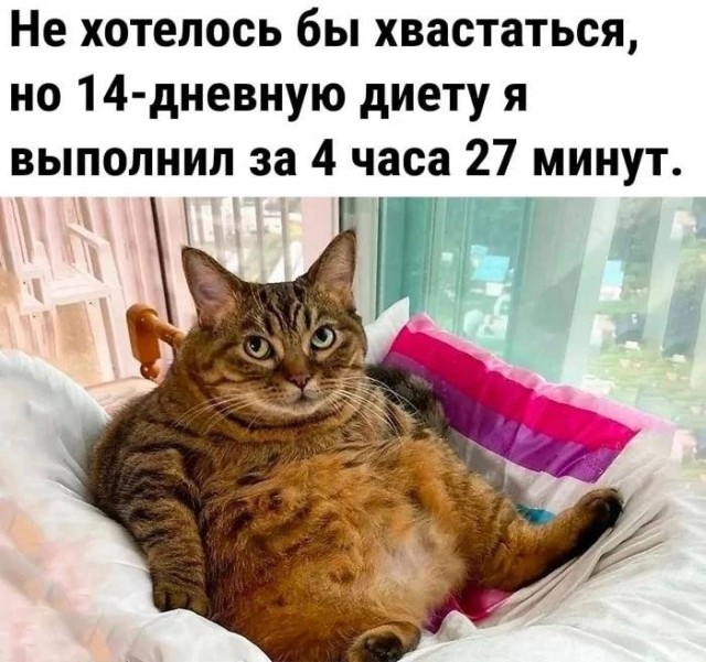 Так себе картинки 26.01.23