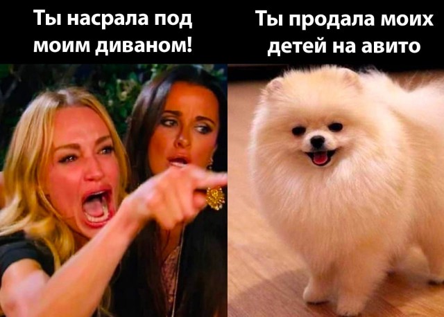 Весёлый полтишок 21.05.23