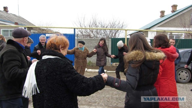 Крым в феврале или "Не стреляйте в белых лебедей!"