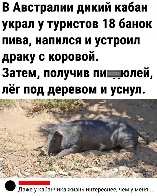 Картинки и мемы, всяко разно - 183