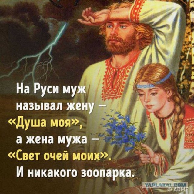 Прикольные и просто красивые картинки 14.07.2023