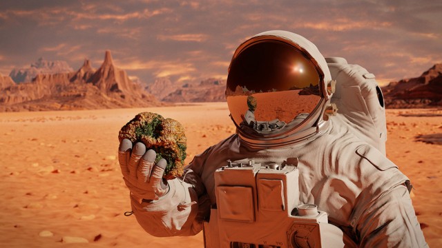 Миссия Starship: Сколько лететь до Марса