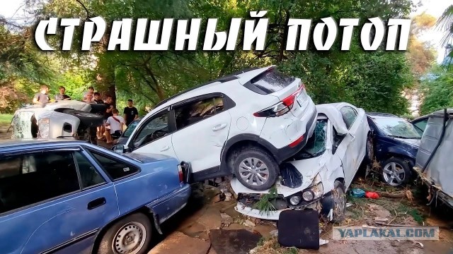 Автостопом в Сочи... из Москвы.