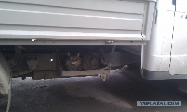 Почистил телефон