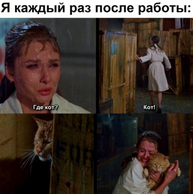 Всего понемногу. Оо 22.02.24