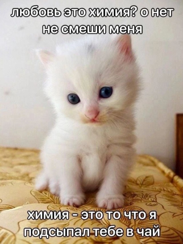 Всего понемногу. От 23.02.24