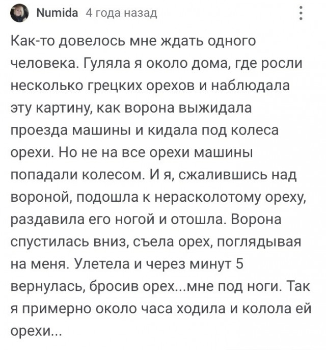 Так себе картинки 24.07.24