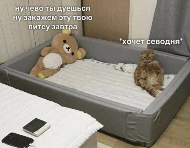 Так себе картинки 08.10.24