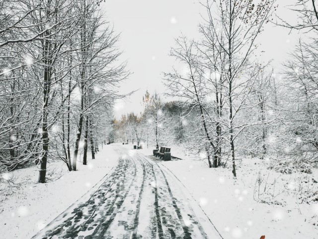 Ну вот и началась...