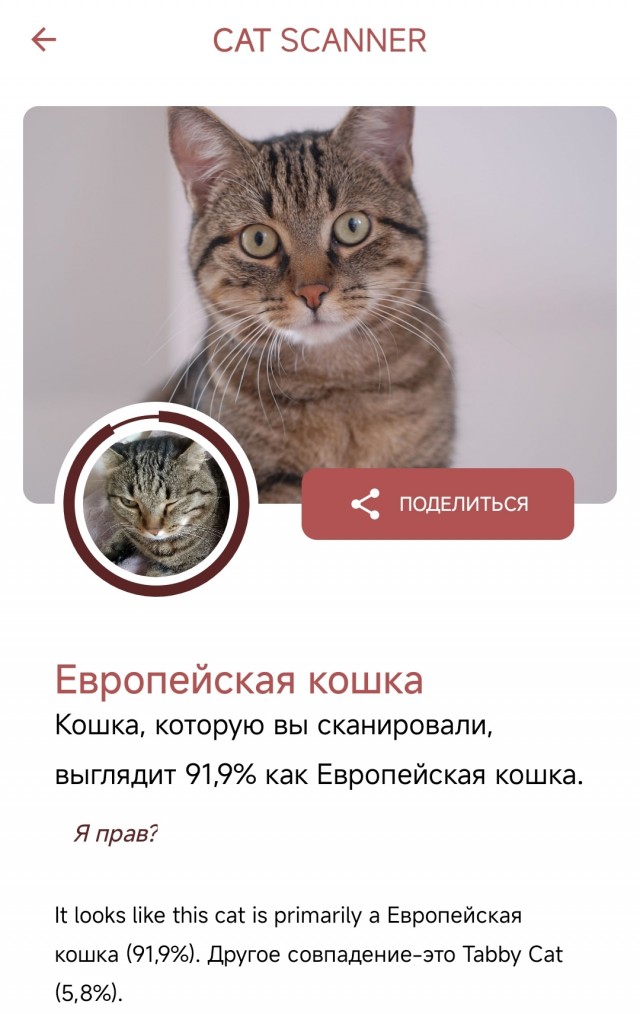 Понимаю, что не вторник