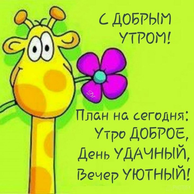 Прикольные и просто красивые картинки 04.12.2024
