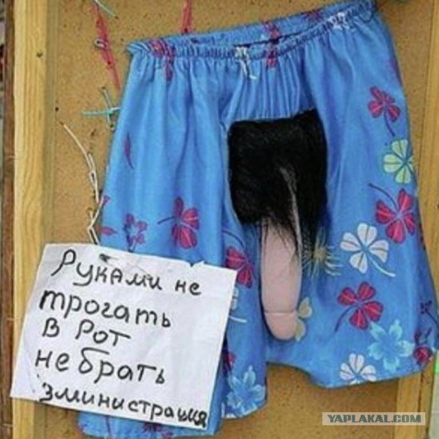 Баяны, очень баяны, но думаю улыбнёт