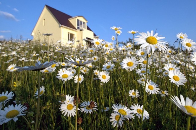 А ты навёл порядок на своем участке?