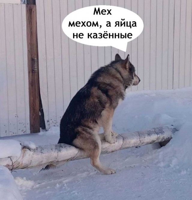 Так себе картинки 10.03.25