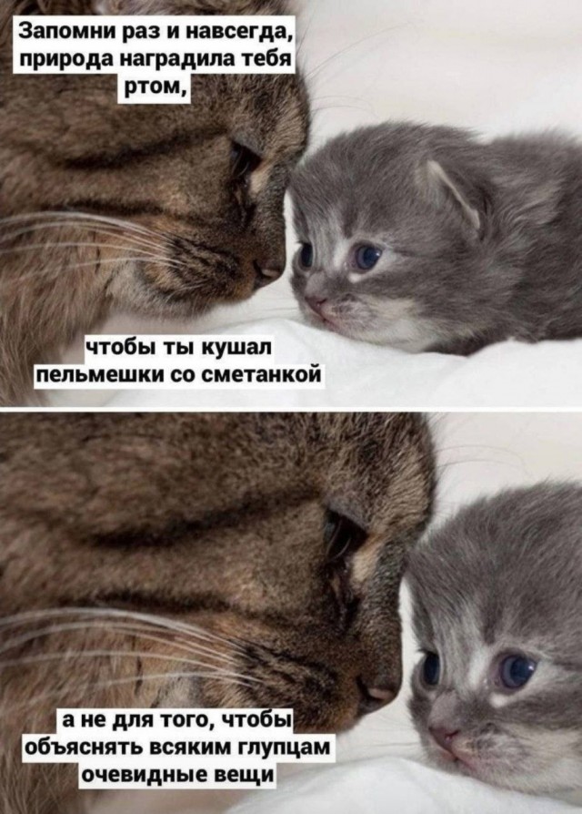 Так себе картинки 24.03.25