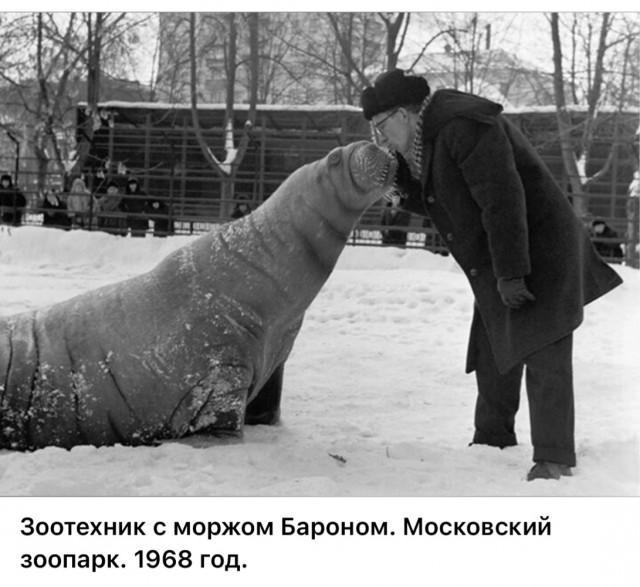Москва и москвичи. Двадцатый век. 17.06.25