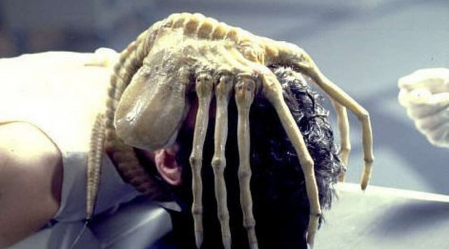 Чужой и Хищник с точки зрения биологии