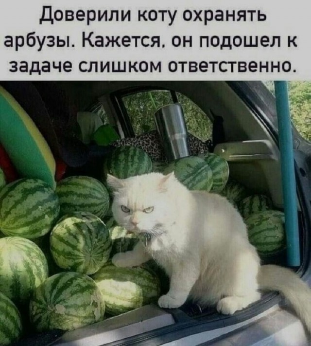 Так себе картинки 19.08.25