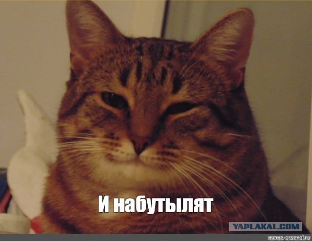 За анекдоты могут посадить