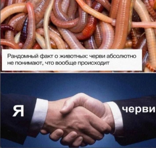 Картинки для деградации 134 (разной степени свежести)