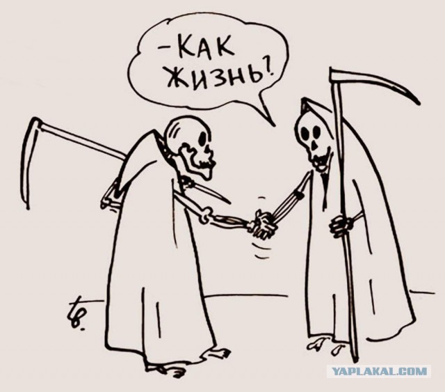 Немного чёрного юмора