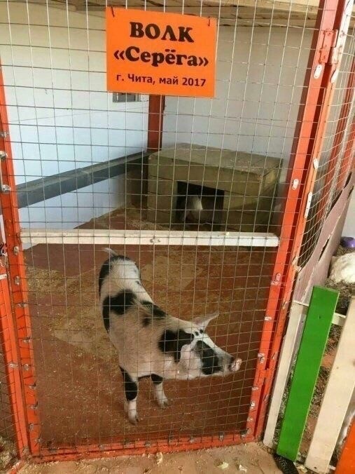 Среды картинки