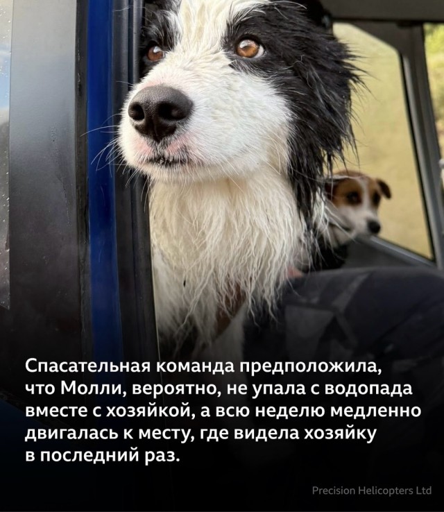Спасательная операция