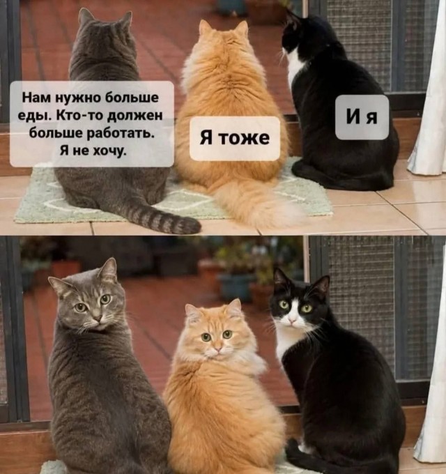 Картинки для деградации 219 (разной степени свежести)
