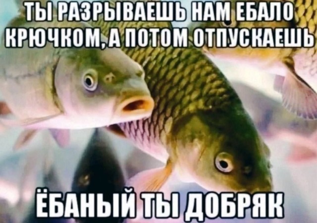 Принудительное питание
