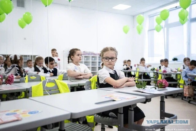 Школы не имеют права собирать с родителей деньги на ремонт, заявил эксперт