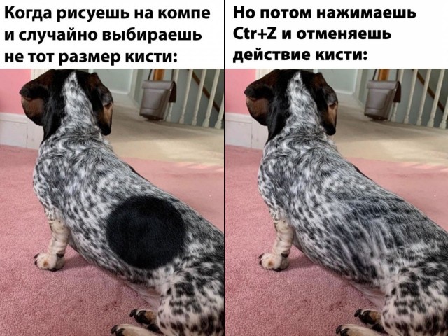 Картинки для деградации 293 (разной степени свежести)