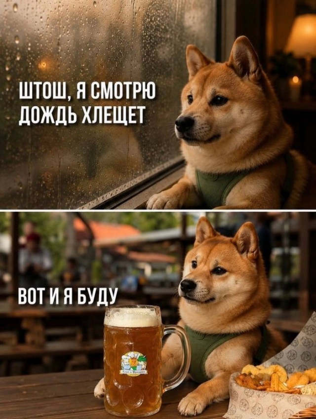 Так себе картинки 12.10.26