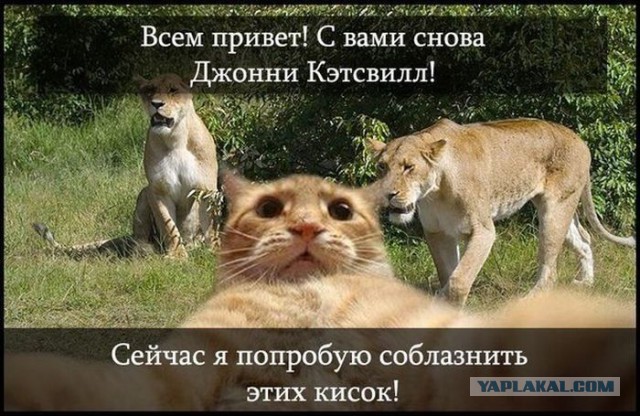 Приколы и маразмы 2