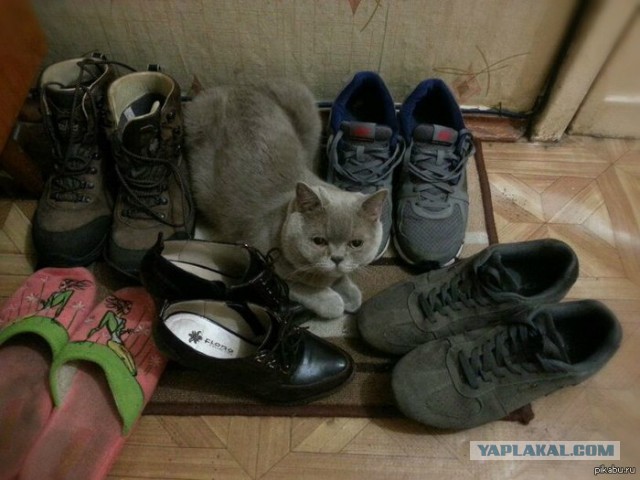 Запиленный шайтан машинпистоль