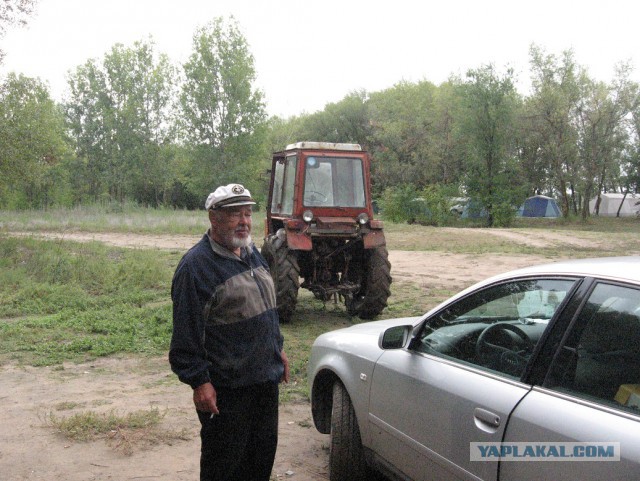 Карп 9 кг.
