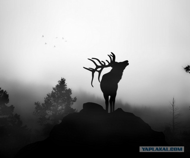 Лучшие фотографии месяца