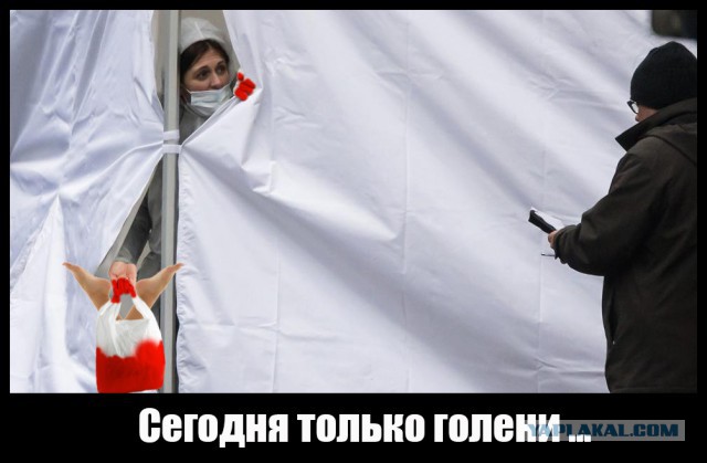 Фотожаба "А что за ширмой То?"
