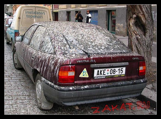 "Да...... я хотела, на Ваш Google"